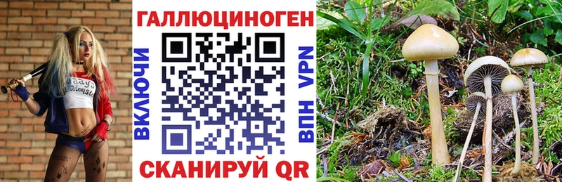 Псилоцибиновые грибы прущие грибы Арамиль